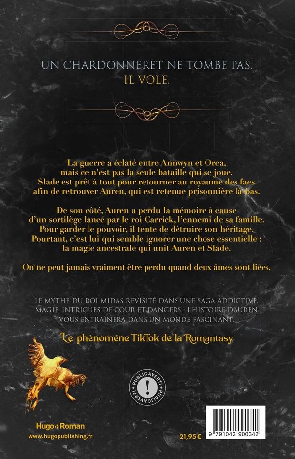 Quatrième de couverture de « Goldfinch »