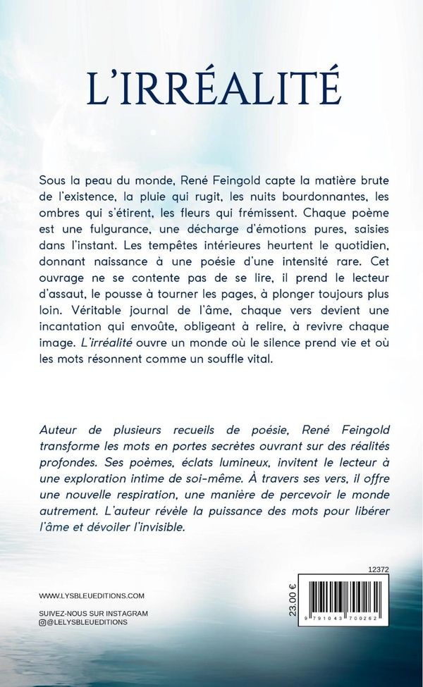 Quatrième de couverture de « L'irréalité : recueil »