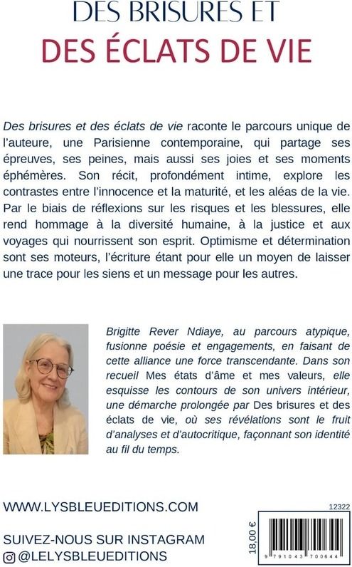 Quatrième de couverture de « Des brisures et des éclats de vie »