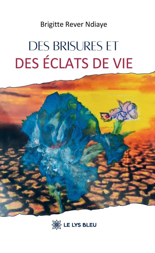 Couverture du livre « Des brisures et des éclats de vie » de Brigitte Rever-Ndiaye, librairie Les Contes Infusés à Corte