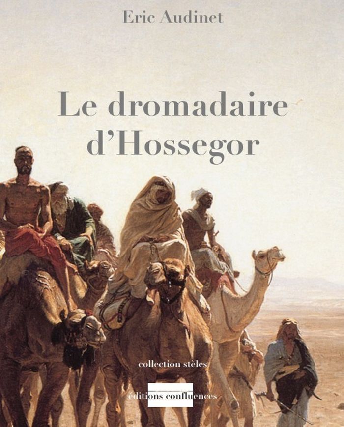 Couverture du livre « Le dromadaire d'Hossegor : récit » de Éric Audinet, librairie Les Contes Infusés à Corte