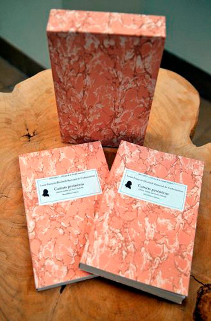 Couverture du livre « CARNETS PYRENEENS (2 VOL. LUXE) » de Ramond De Carbonnier, librairie Les Contes Infusés à Corte