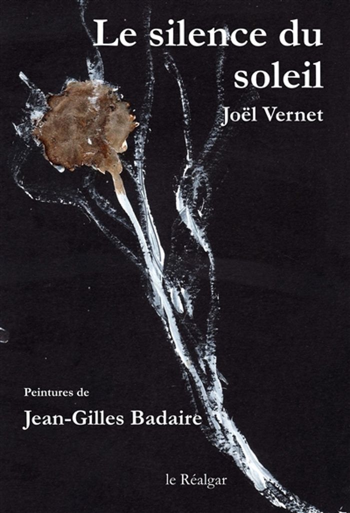 Couverture du livre « LE SILENCE DU SOLEIL » de Joel Vernet, librairie Les Contes Infusés à Corte