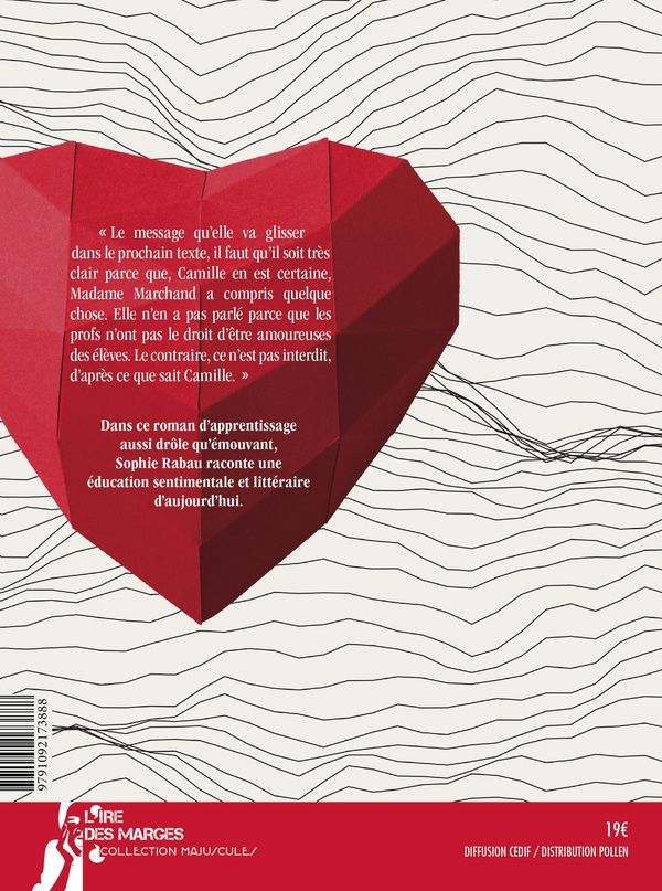 Quatrième de couverture de « Code Camille »