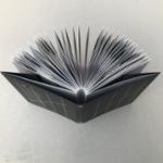 Quatrième de couverture de « SINE DIE »