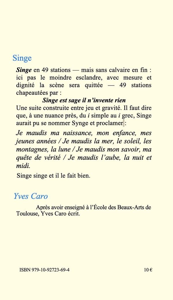 Quatrième de couverture de « Singe »