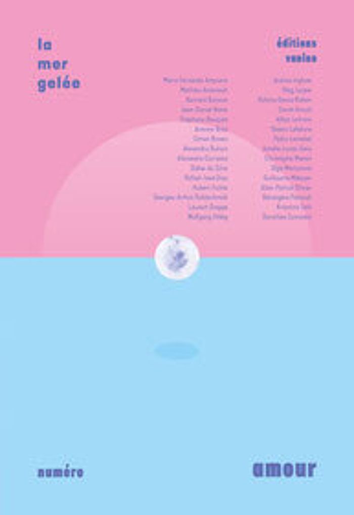 Couverture du livre « LA MER GELEE AMOUR », librairie Les Contes Infusés à Corte