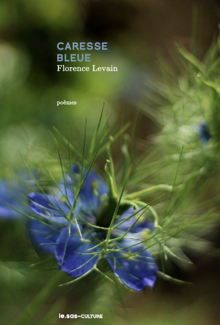 Couverture du livre « Caresse bleue : poèmes » de Florence Levain, librairie Les Contes Infusés à Corte