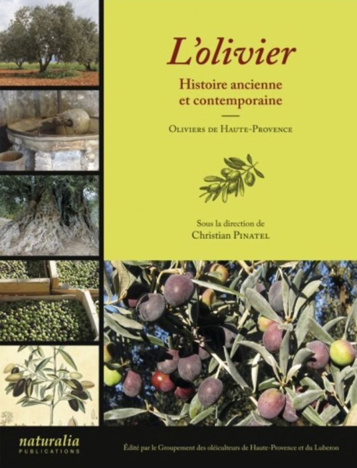 Couverture du livre « L'OLIVIER - HISTOIRE ANCIENNE ET CONTEMPORAINE - OLIVIERS DE HAUTE-PROVENCE » de Christian Pinatel, librairie Les Contes Infusés à Corte