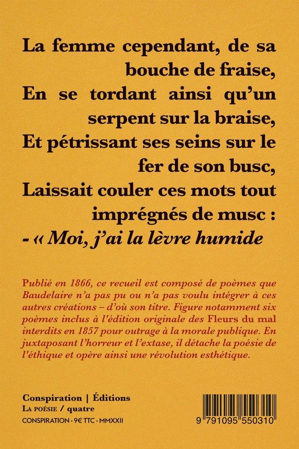 Quatrième de couverture de « Les épaves : 1866 »