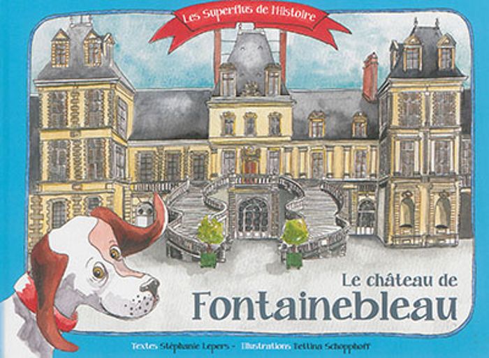 Couverture du livre « LES SUPERFLUS DE L'HISTOIRE DU CHATEAU DE FONTAINEBLEAU » de Stephanie Lepers, librairie Les Contes Infusés à Corte