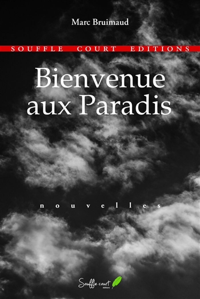 Couverture du livre « BOXER DANS LE VIDE », librairie Les Contes Infusés à Corte