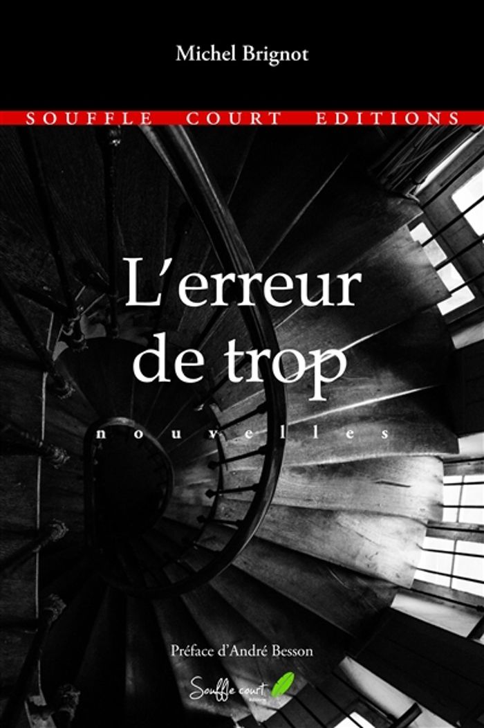 Couverture du livre « L'ERREUR DE TROP », librairie Les Contes Infusés à Corte