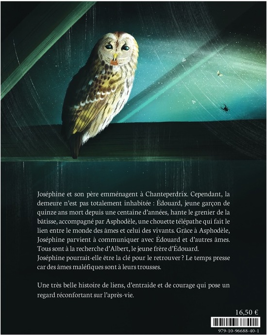 Quatrième de couverture de « LES AMES DE CHANTEPERDRIX »