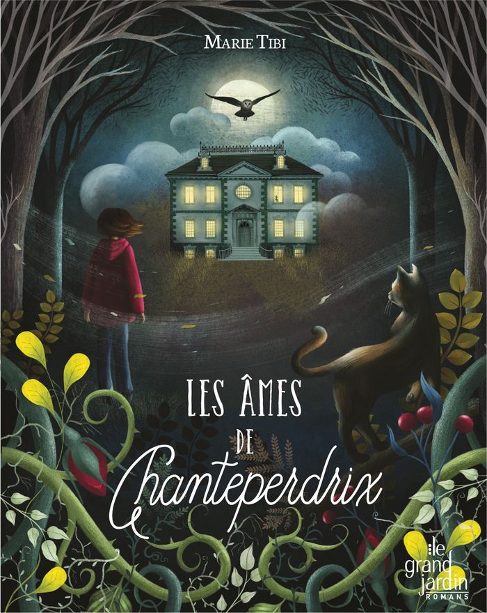 Couverture du livre « LES AMES DE CHANTEPERDRIX » de Tibi/romeo, librairie Les Contes Infusés à Corte