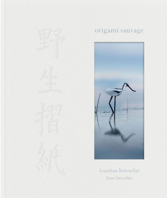 Couverture du livre « Origami sauvage » de Jonathan Rebouillat, librairie Les Contes Infusés à Corte