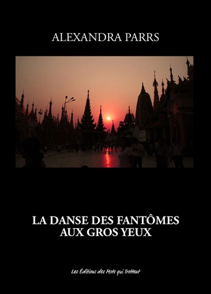 Couverture du livre « LA DANSE DES FANTOMES AUX GROS YEUX », librairie Les Contes Infusés à Corte
