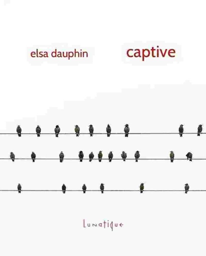 Couverture du livre « CAPTIVE » de Elsa Dauphin, librairie Les Contes Infusés à Corte