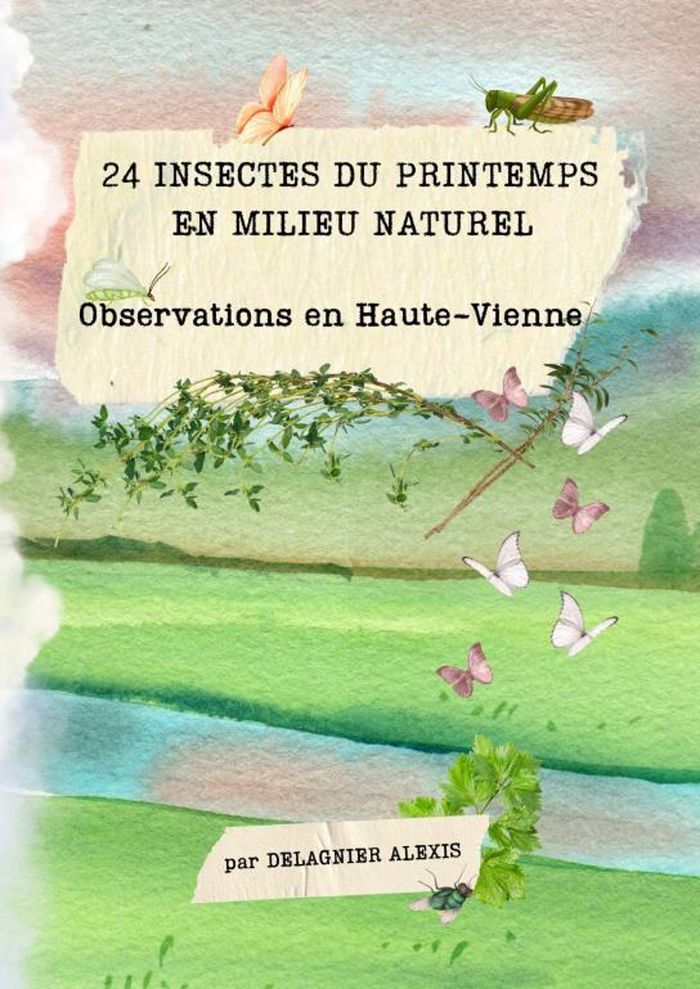 Couverture du livre « 24 Insectes du printemps en milieu naturel : Observation en Haute-Vienne » de Alexis Delagnier, librairie Les Contes Infusés à Corte