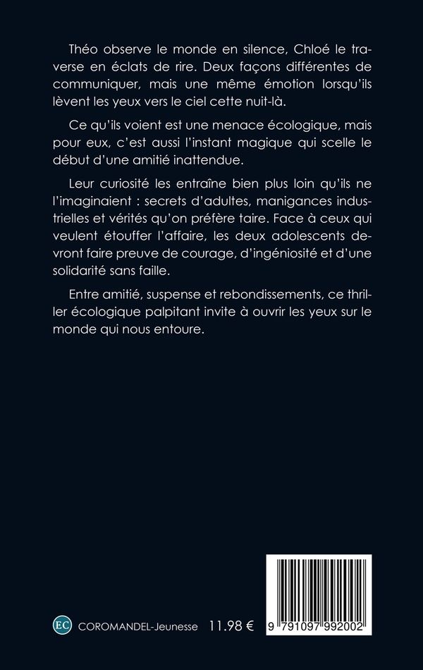 Quatrième de couverture de « Le mystère des étoiles disparues : roman »