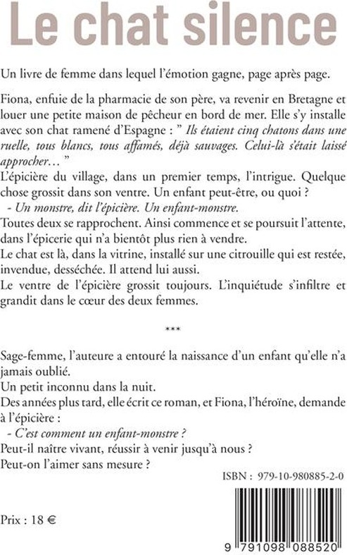 Quatrième de couverture de « Le chat silence »