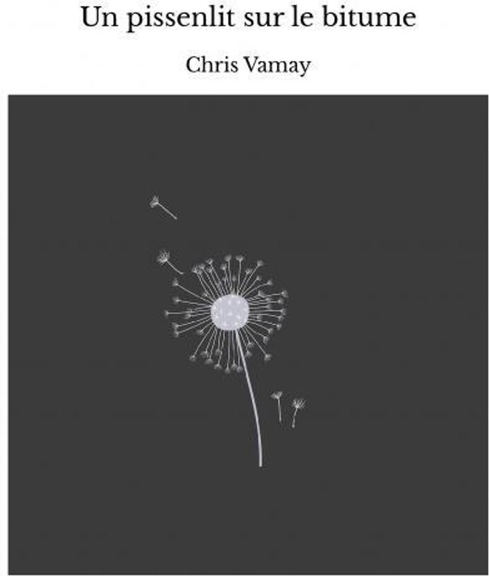 Couverture du livre « UN PISSENLIT SUR LE BITUME », librairie Les Contes Infusés à Corte