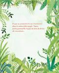 Quatrième de couverture de « Rainette dans la jungle »