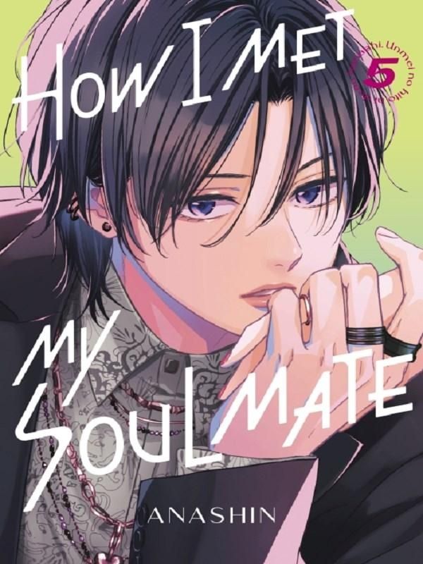 Couverture du livre « HOW I MET MY SOULMATE 5 », librairie Les Contes Infusés à Corte